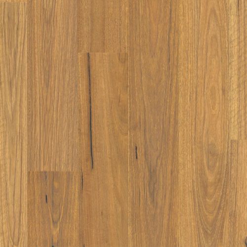 Clix XL Natural Spotted Gum