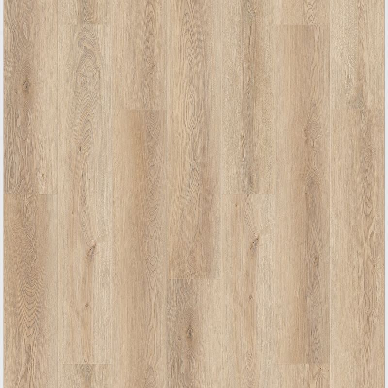 Queenstown 1.2 | Mount Cook