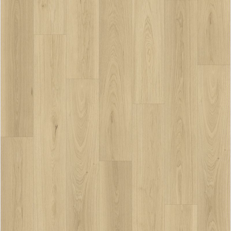 Queenstown 1.2 | Kingston