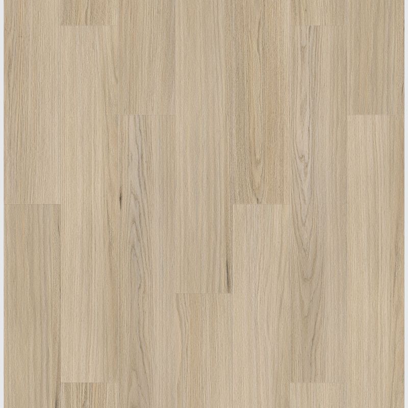 Queenstown 1.2 | Newtown