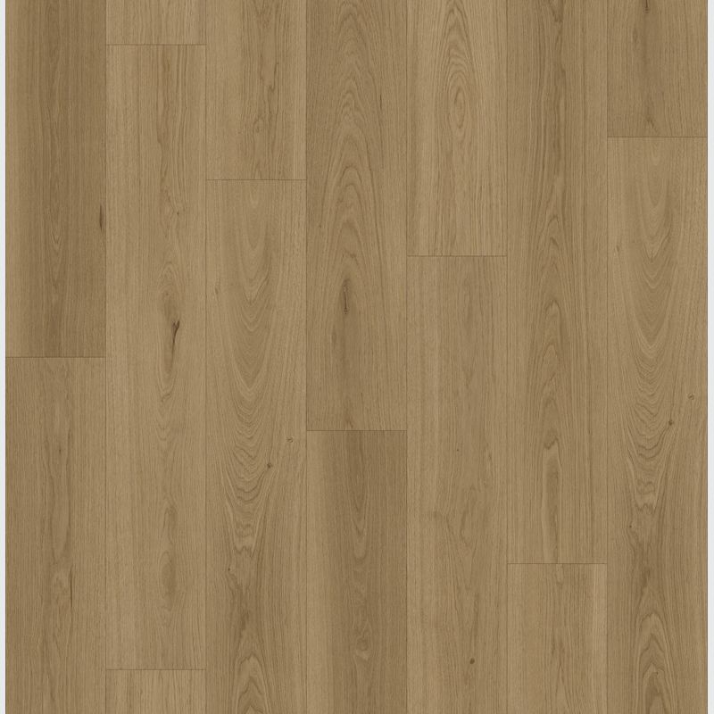 Queenstown 1.2 | Roseneath