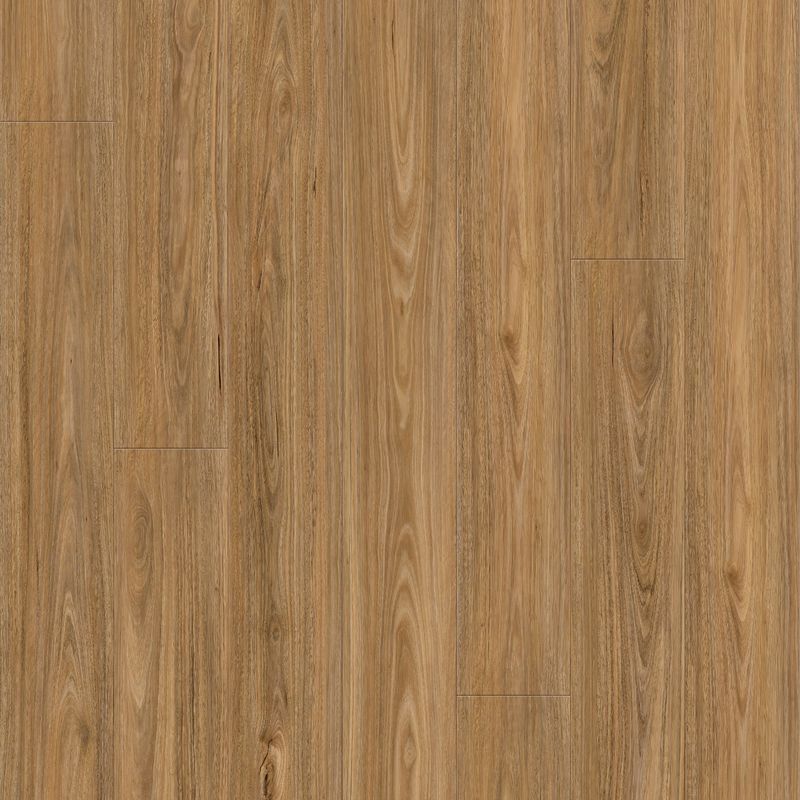 Queenstown 1.2 | Spotted Gum