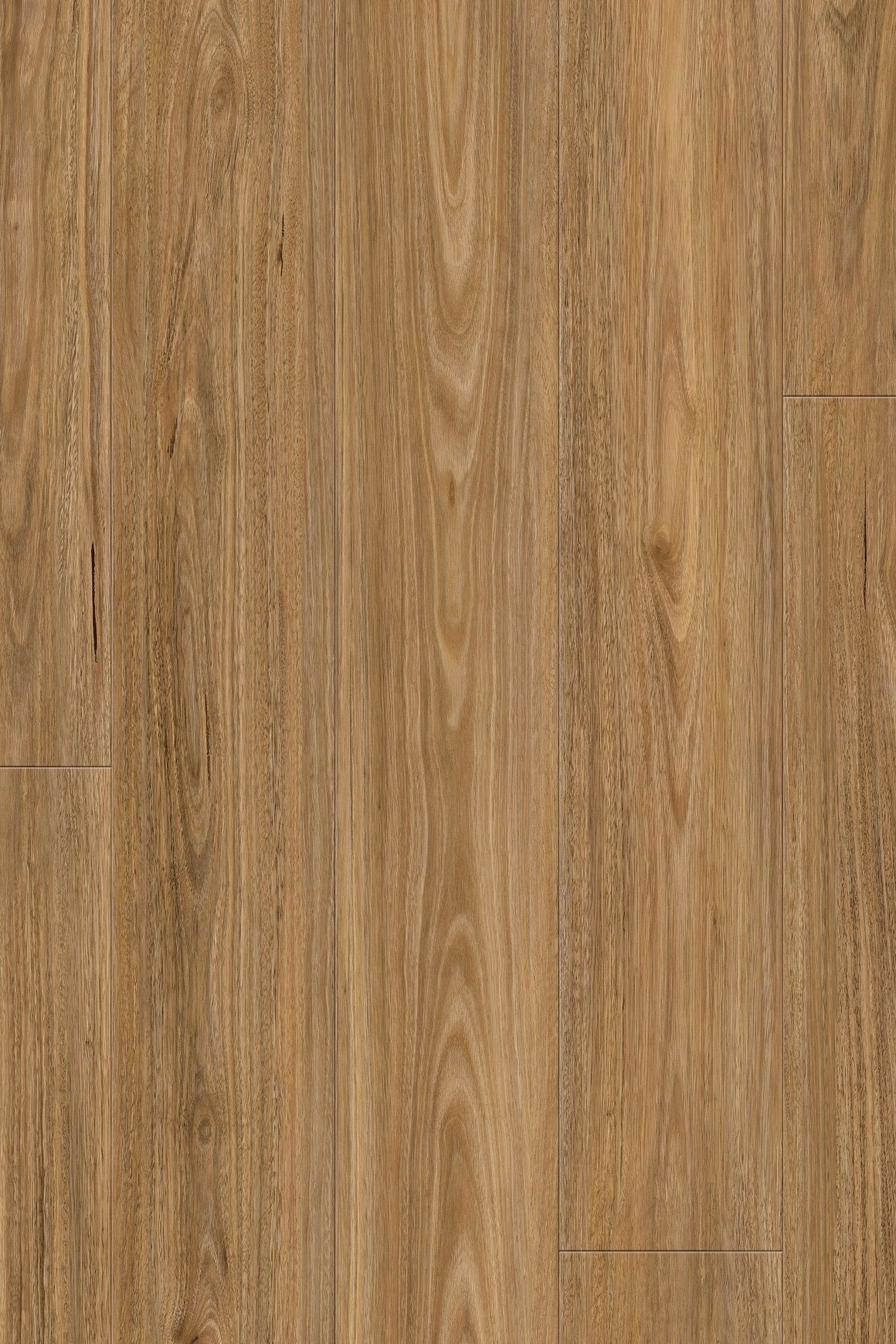 Queenstown 1.2 | Spotted Gum