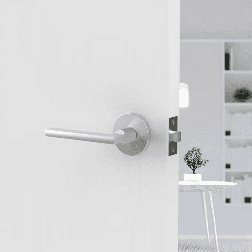 Raglan Lever Handle In Matt Brushed Nickel