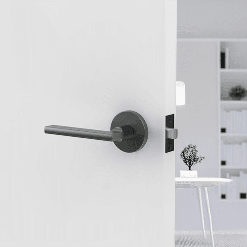 Raglan Lever Handle In Nickel Graphite