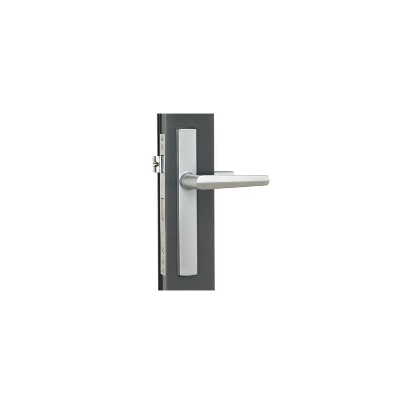 Aria Hinged Door Handle