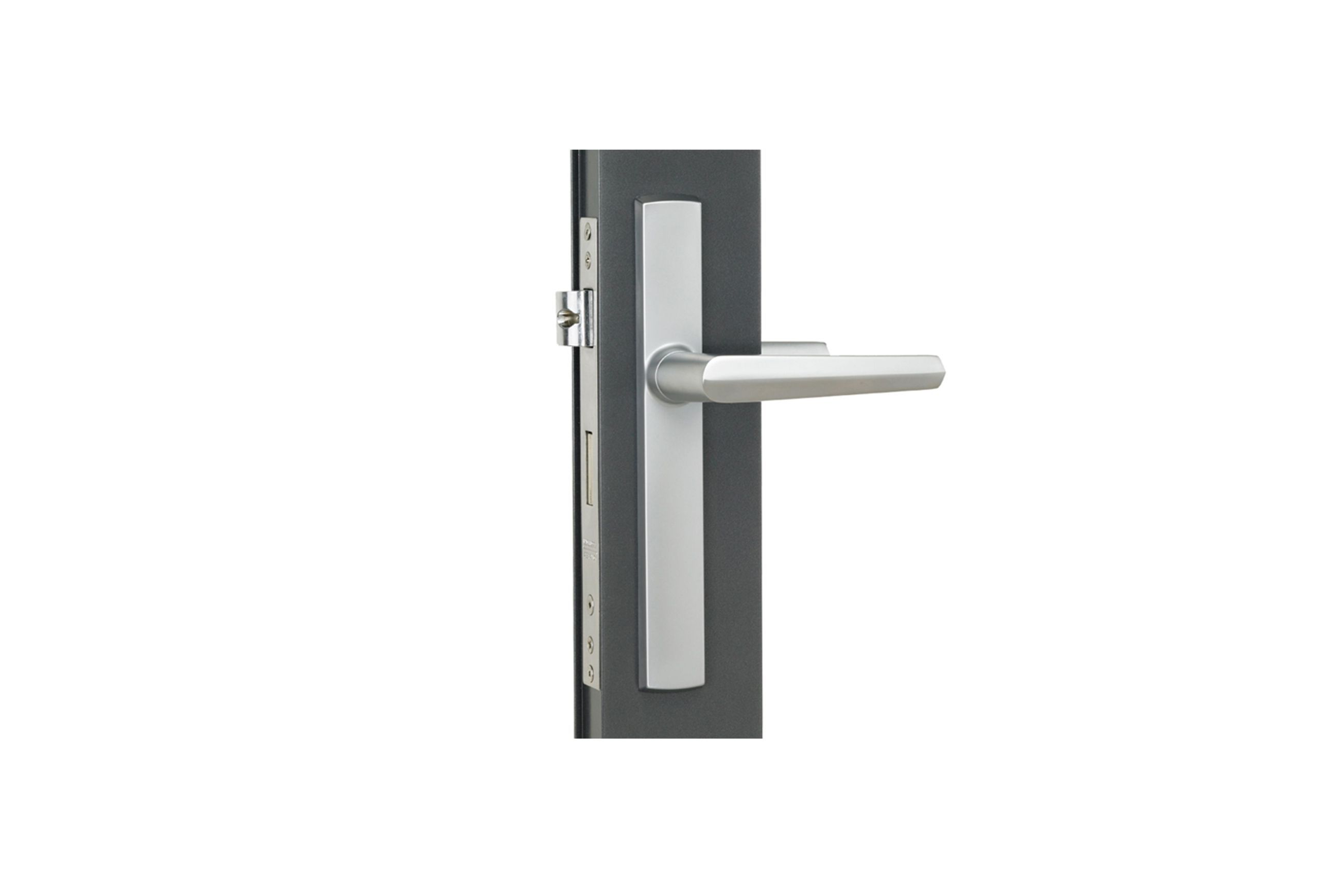 Aria Hinged Door Handle