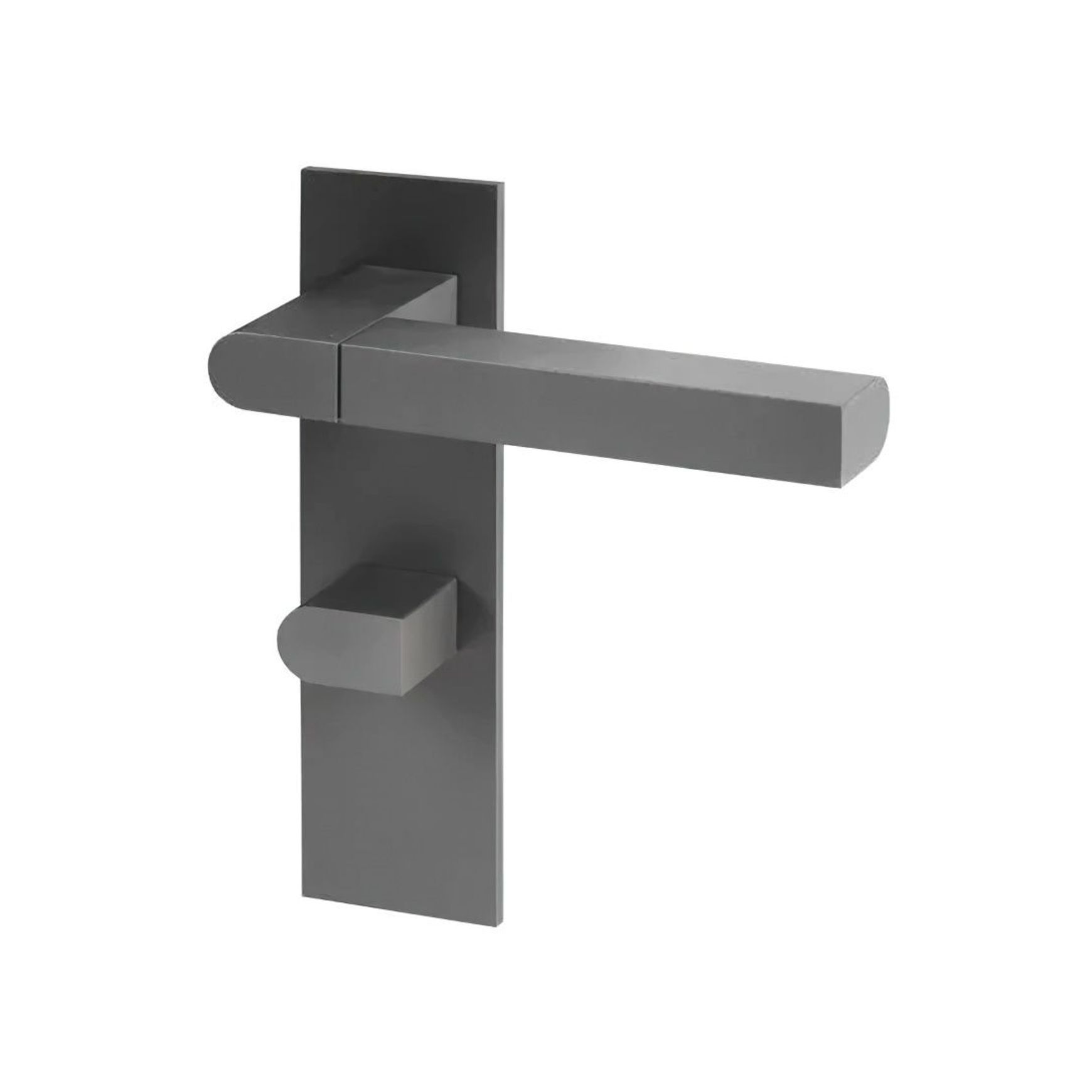 Close Up Lever Handle on Rose