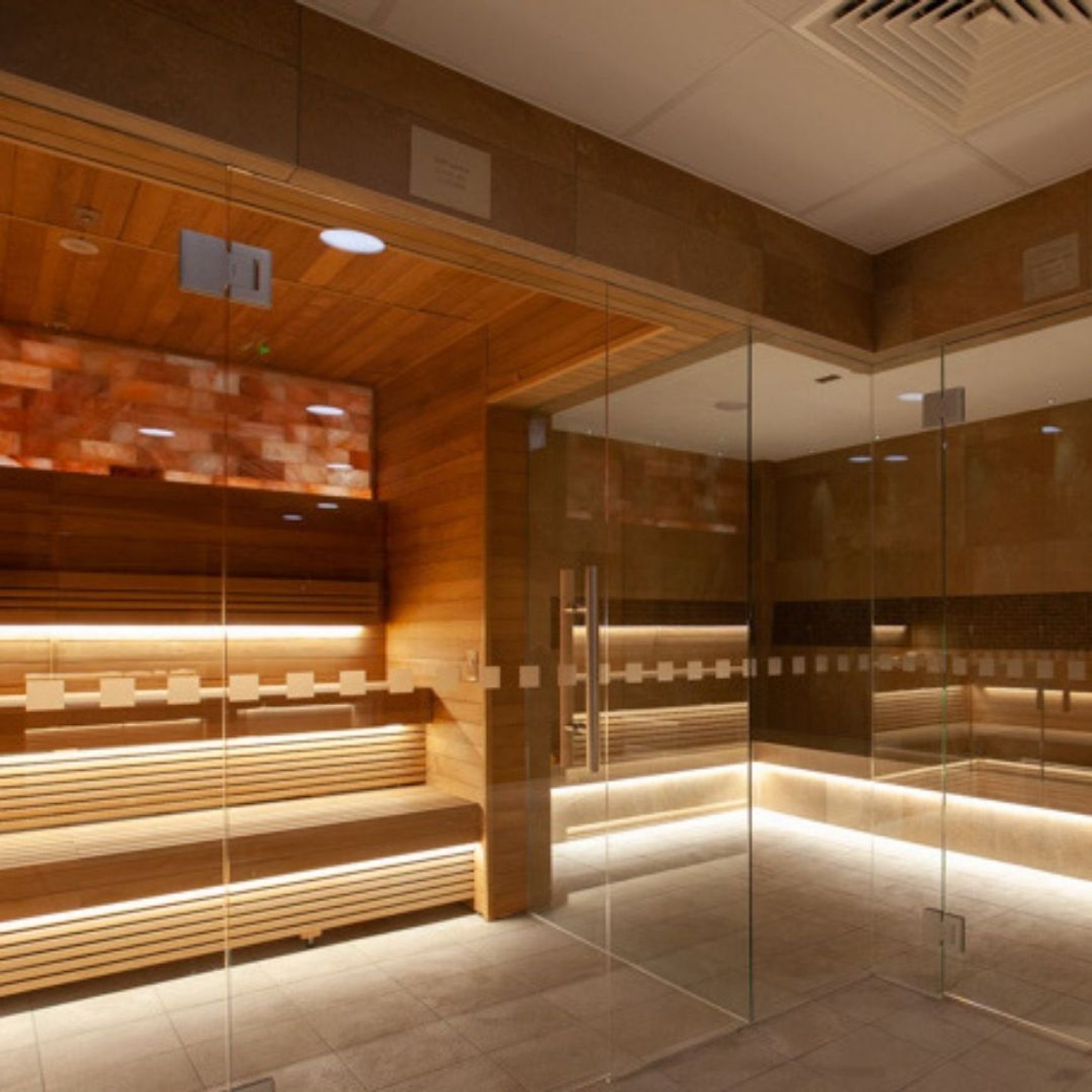 Sauna Snake Light