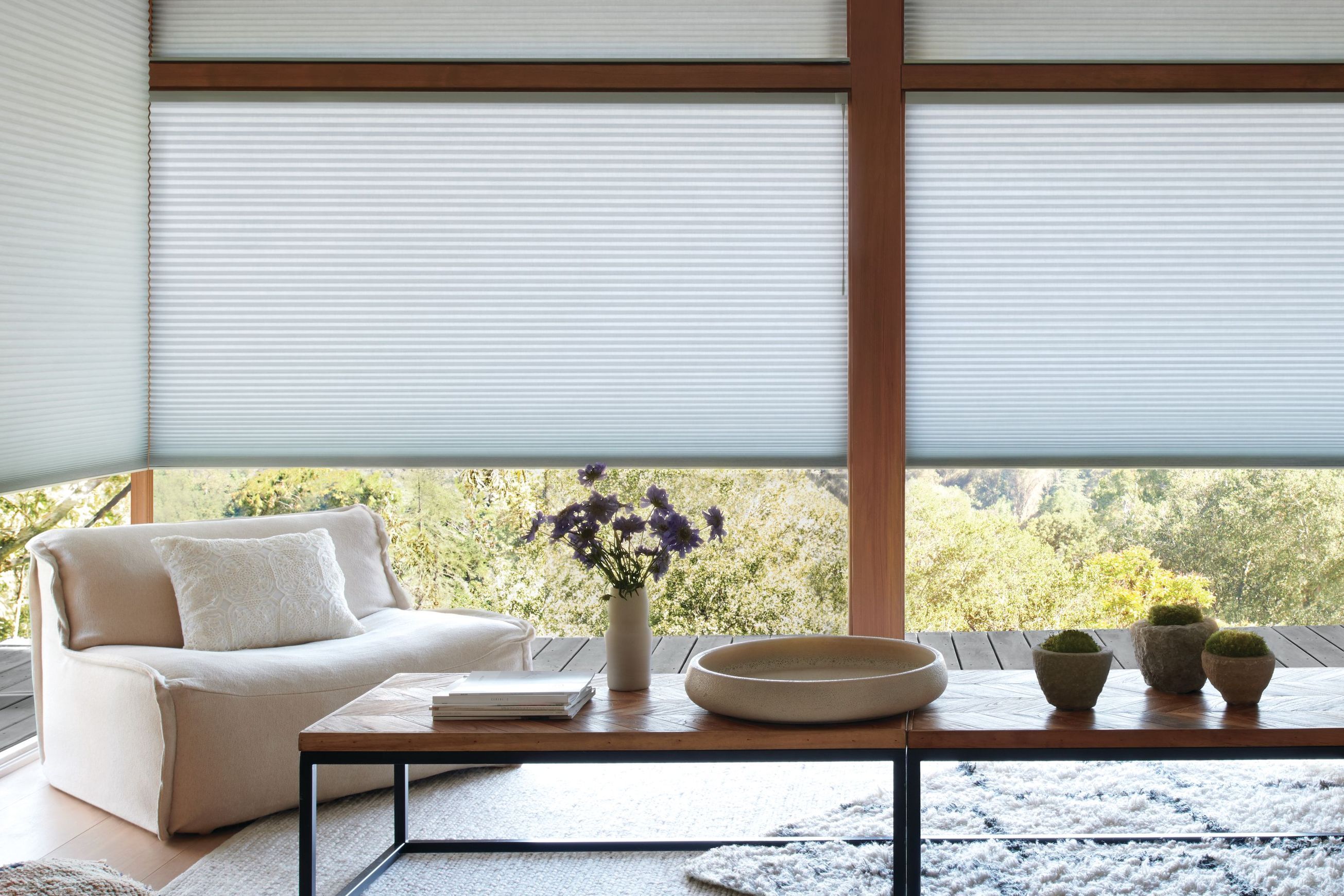 Duette® Architella® Shades