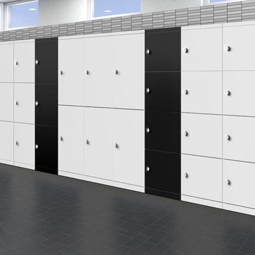 Flush Door Locker