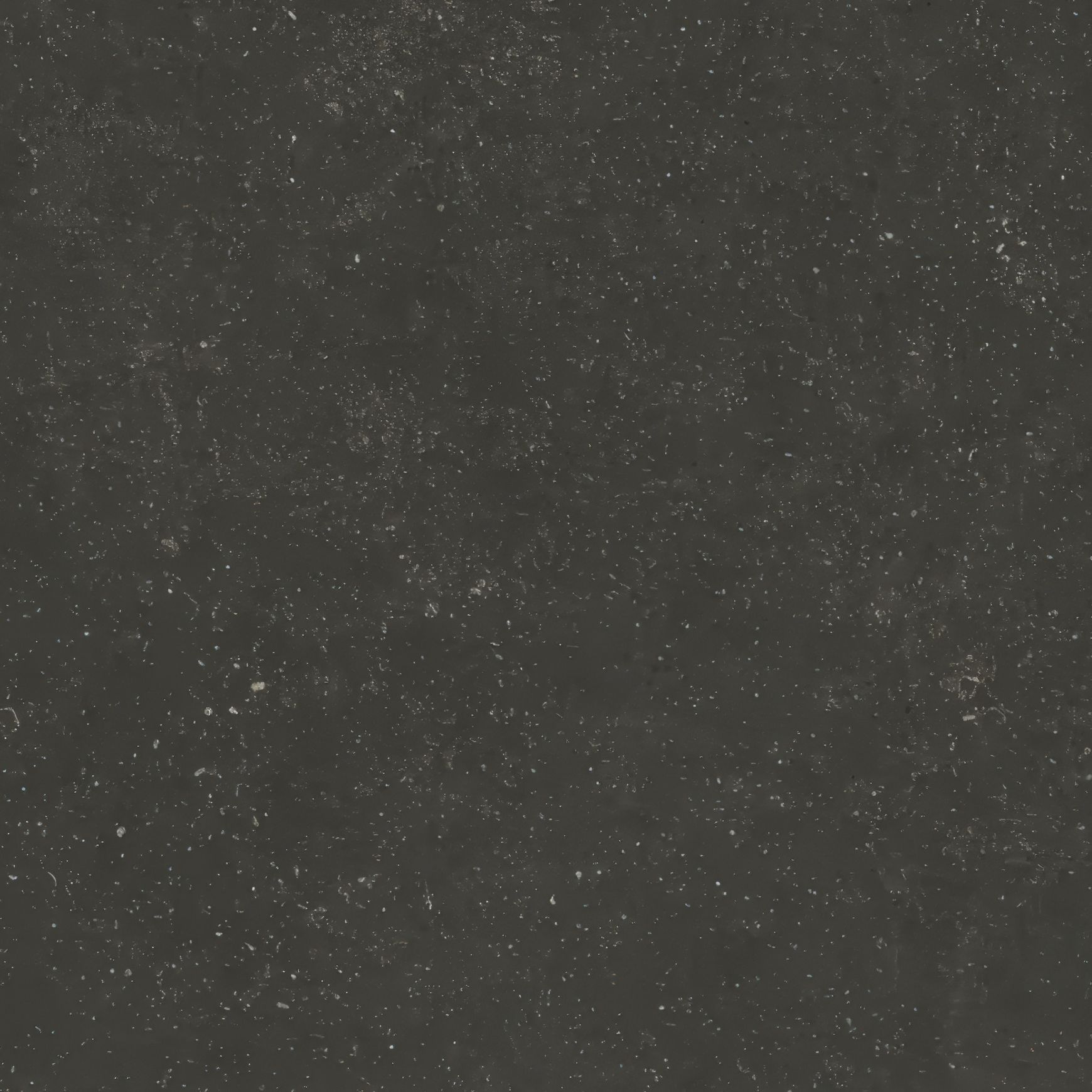 Legend by Cotto D’esta - Wall & Floor Tiles