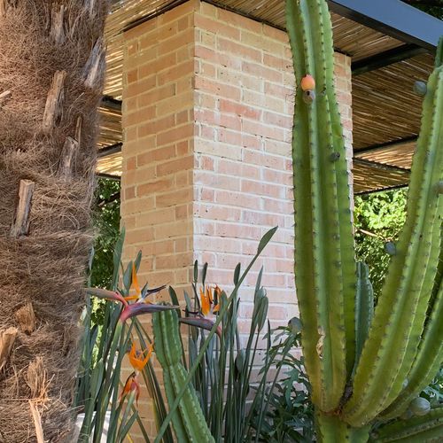 Eco Outdoor Cotto Wall Bricks