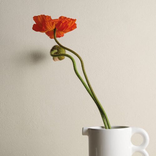 Balance Light Grey | Concrete & Metal Look