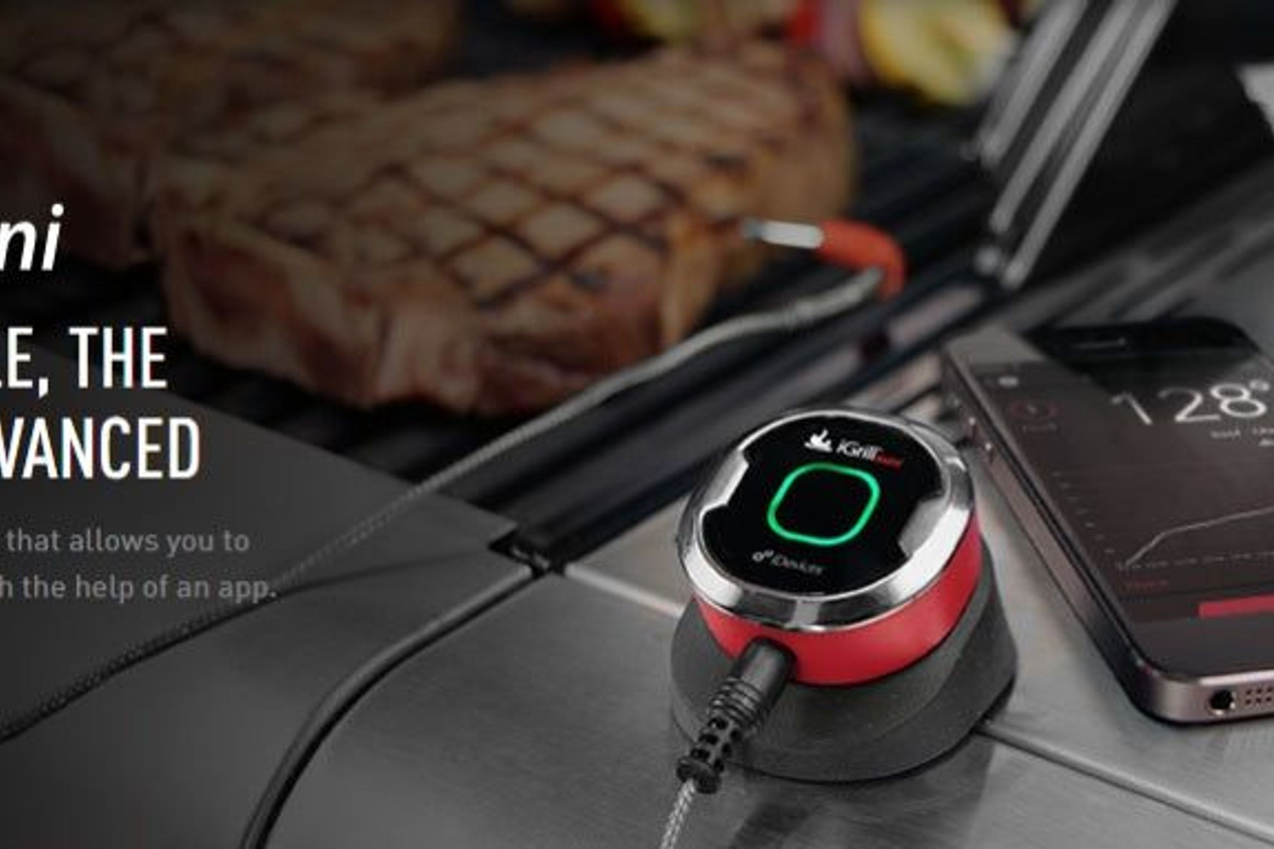 Weber iGrill Mini Bluetooth Thermometer