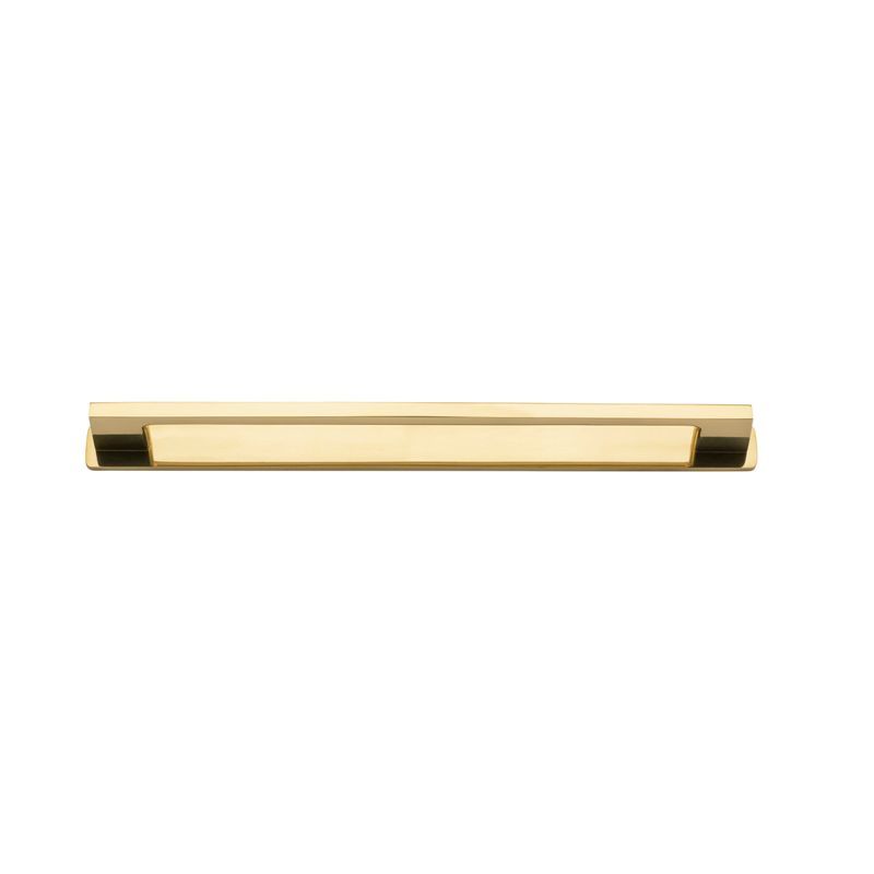 Cali Cabinet Pull with Backplate - CTC 256mm