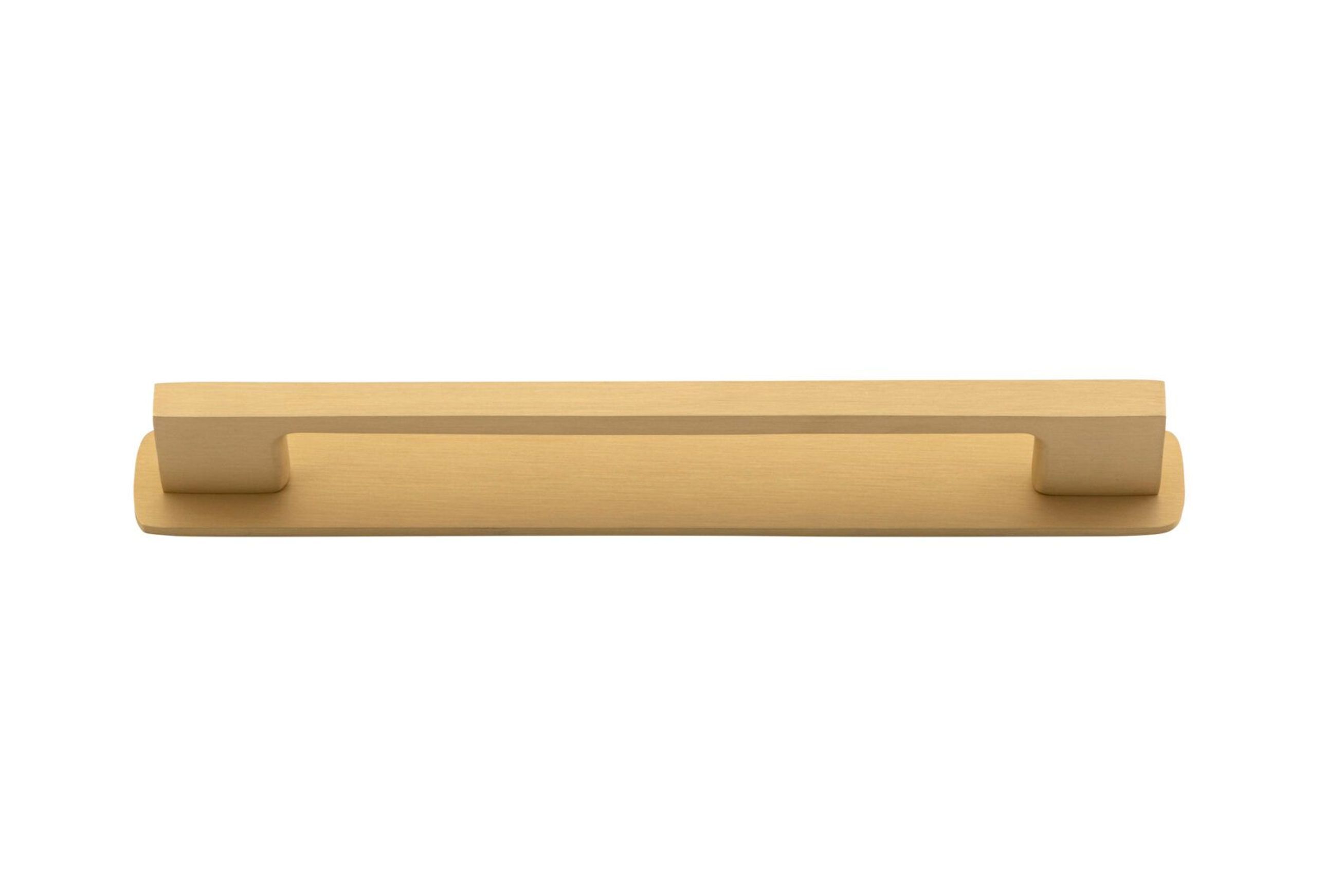 Cali Cabinet Pull with Backplate - CTC 160mm