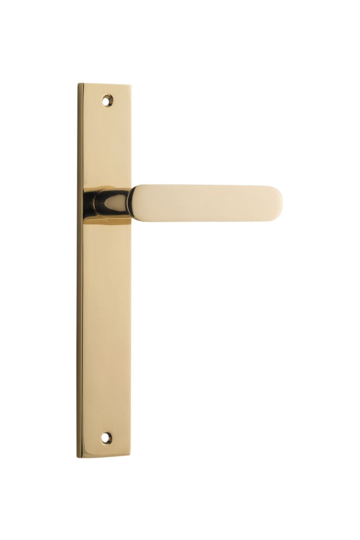 Bronte Lever - Rectangular Backplate