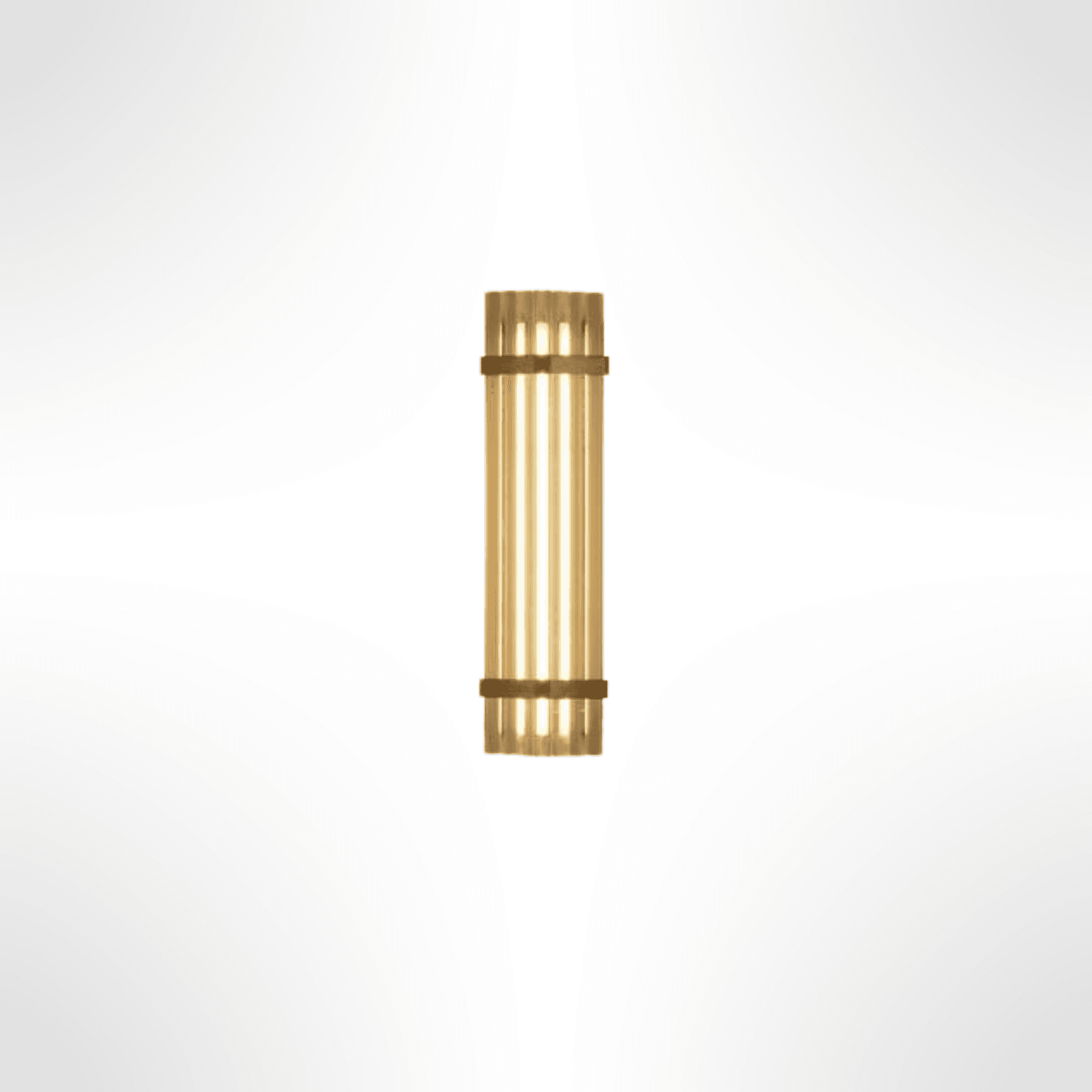Seagull Wall Light