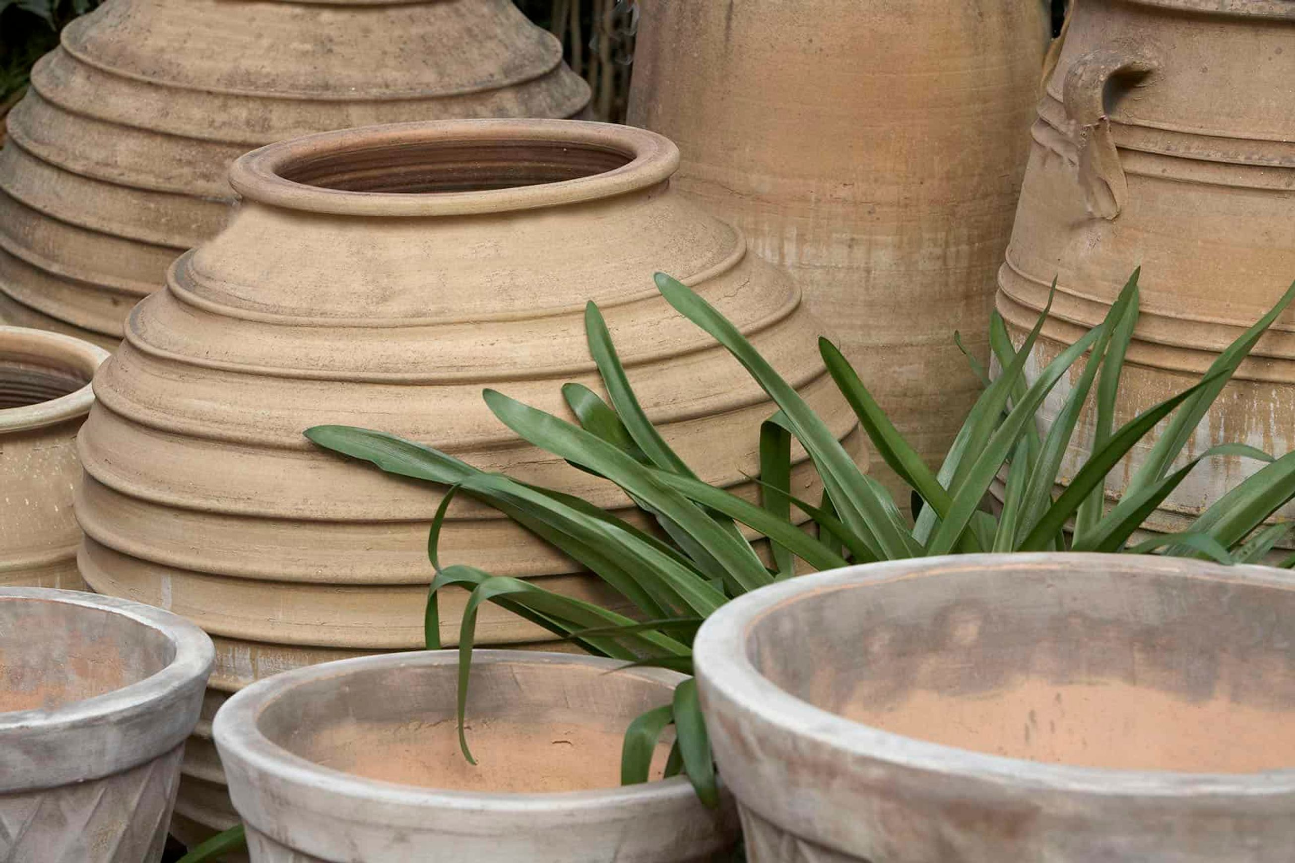 Crete - Koronios Urn