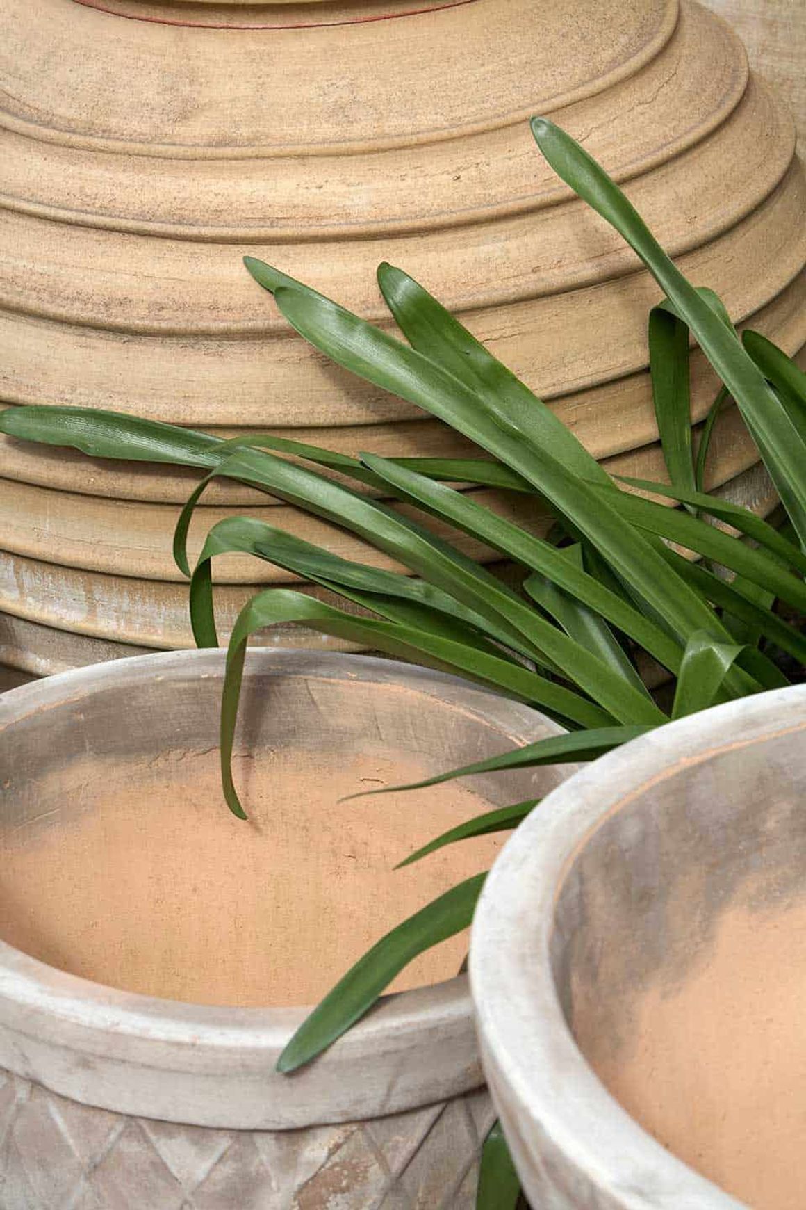 Crete - Roumpaki Planter