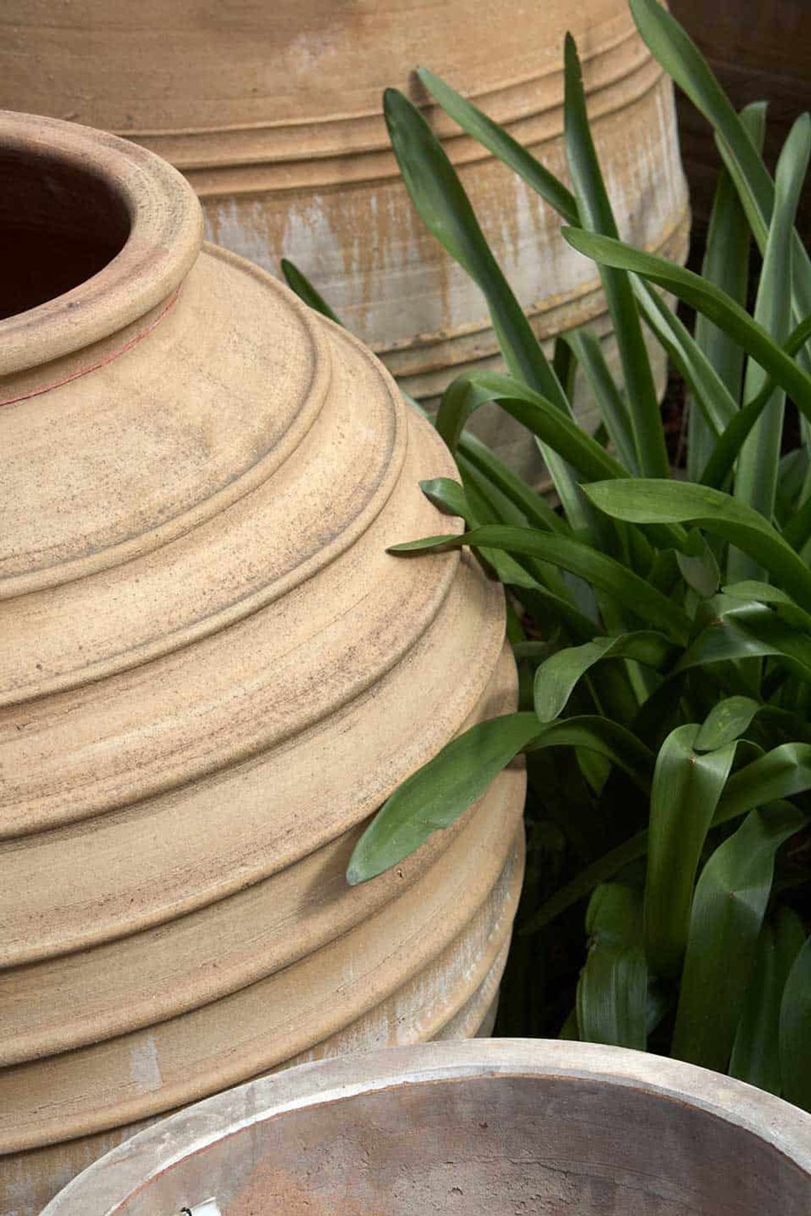 Crete - Koronios Urn