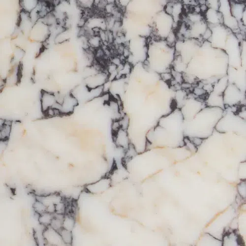 Calcatta Viola | Marble Collection