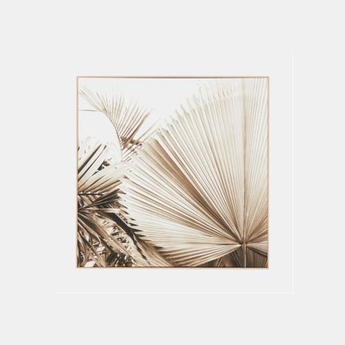 Framed Canvas Desert Palm 1