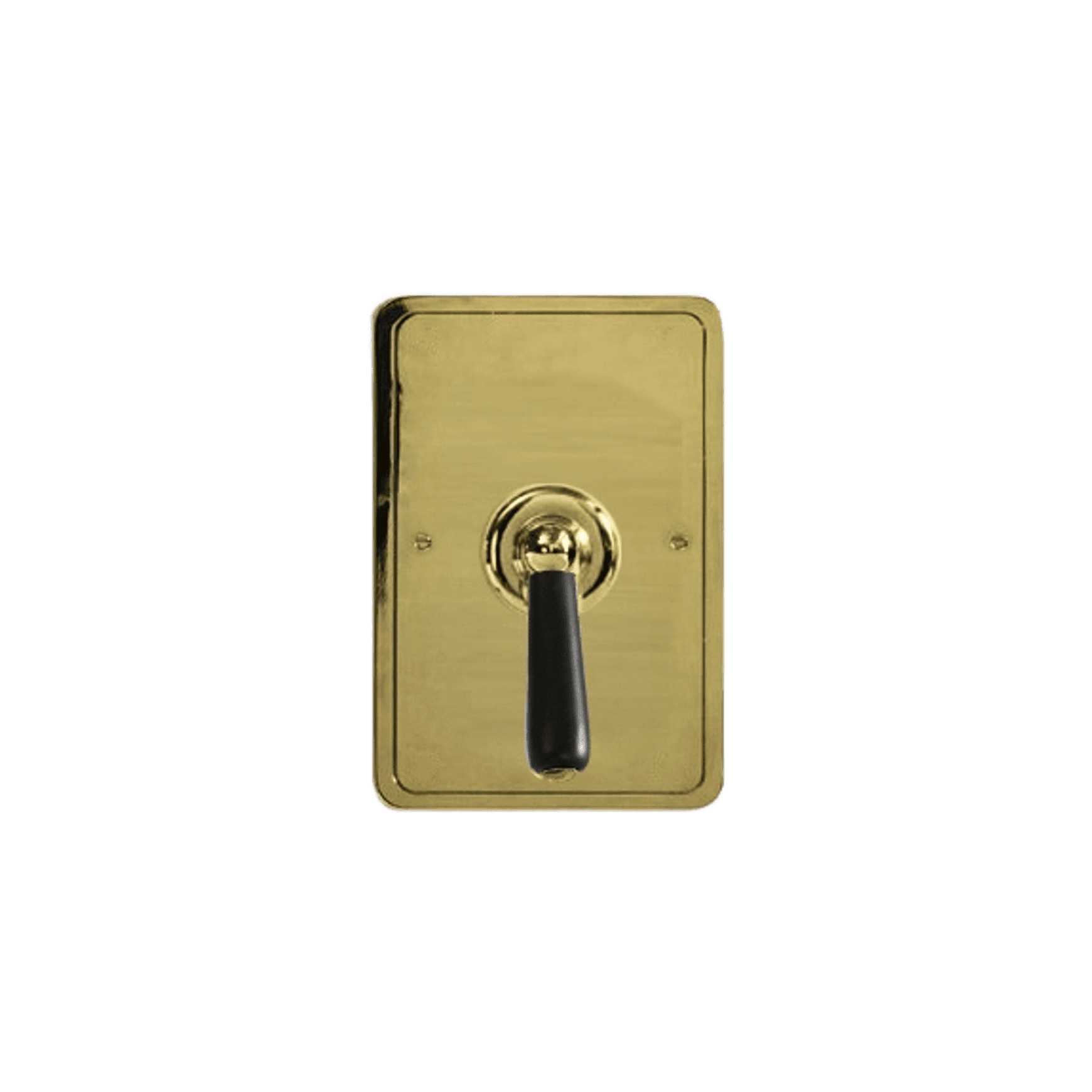 The Water Monopoly - Rockwell Single Lever Shower Mixer With Pressure Balance Valve & Metal/Coloured Lever Tap