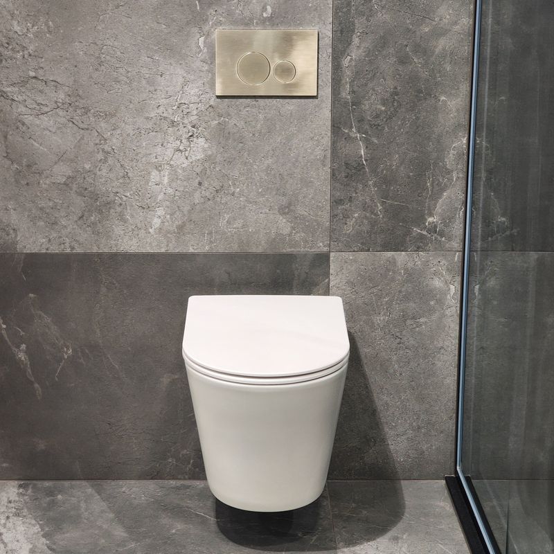 Pure Typhoon Wall Hung Toilet Suite |Brushed Nickel Btn