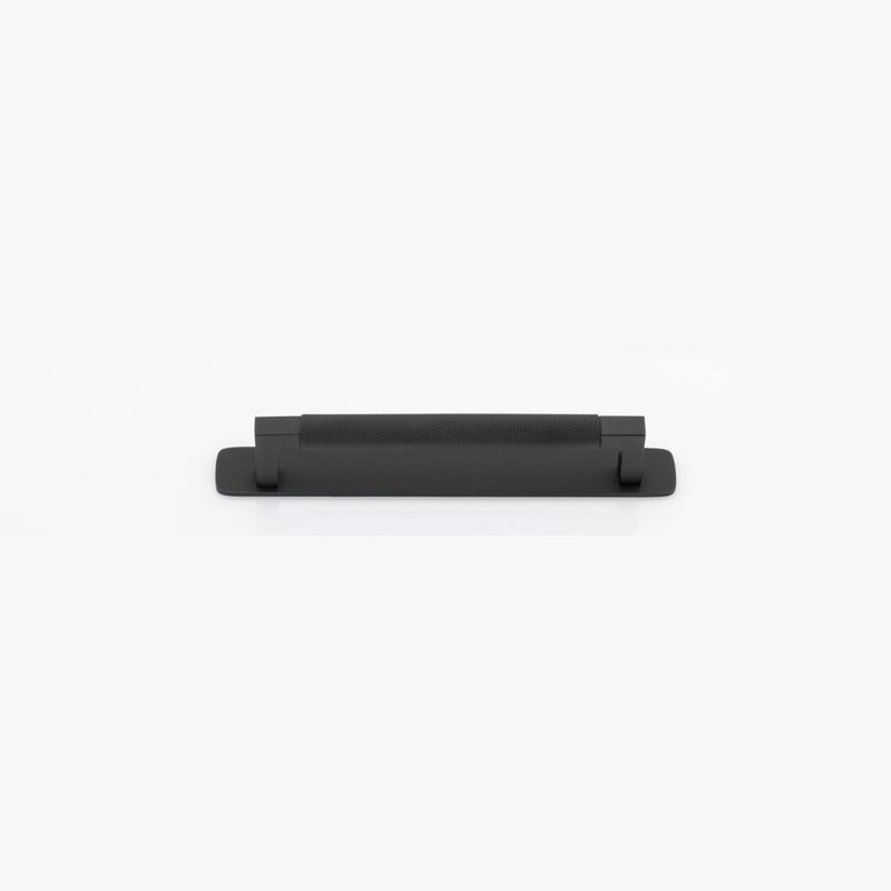 Brunswick Cabinet Pull with Backplate  - CTC160mm
