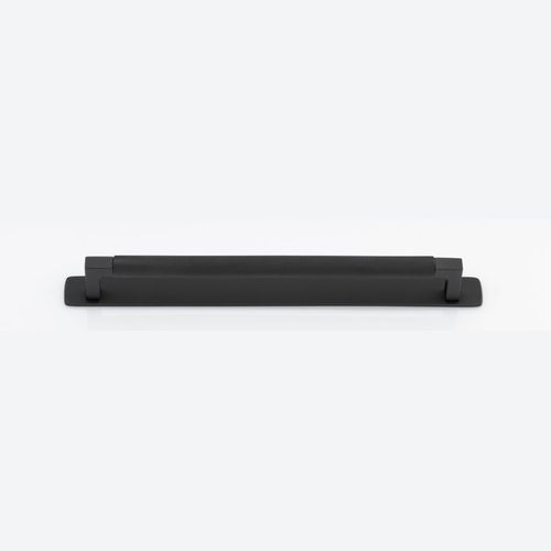 Brunswick Cabinet Pull with Backplate  - CTC256mm