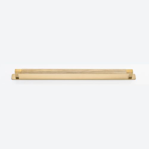 Brunswick Cabinet Pull with Backplate  - CTC450mm