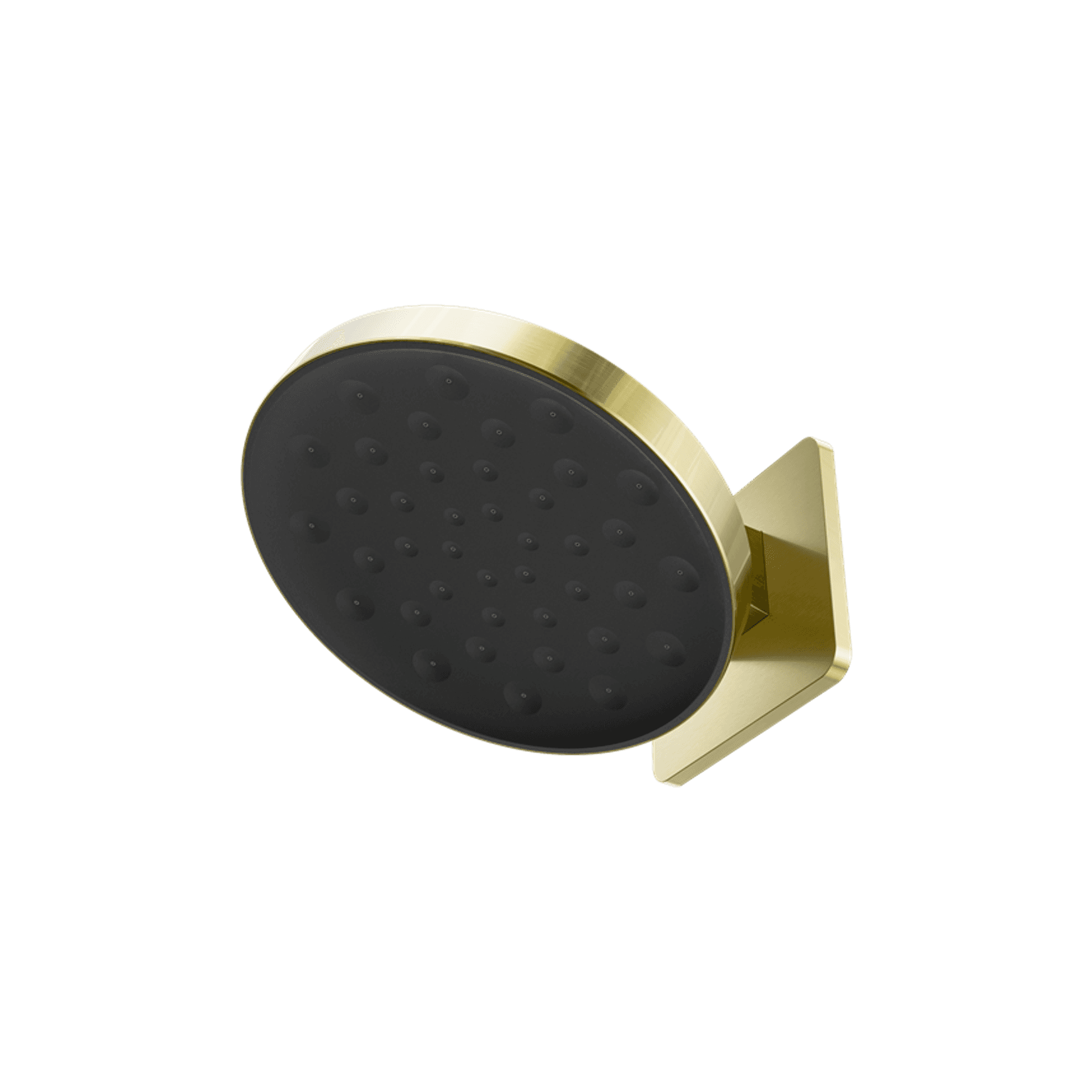 Serenity Wall Shower Head Brushed Gold