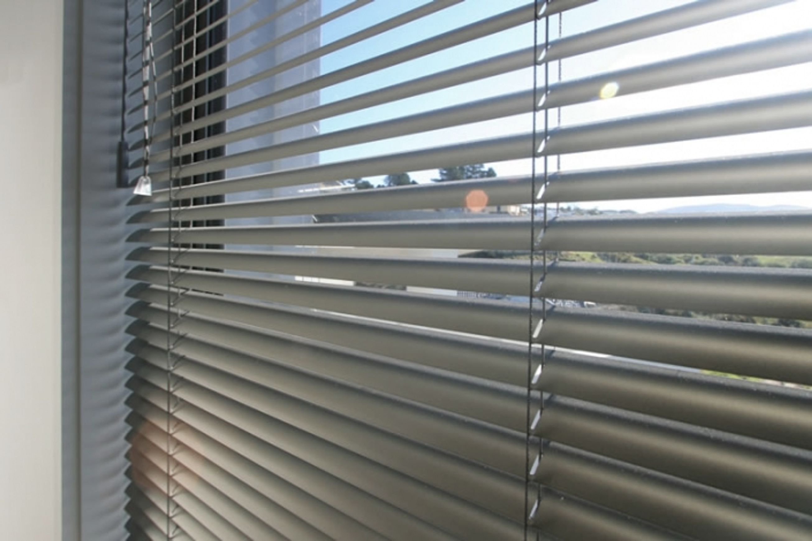 Perforated & Privacy Venetians 25mm Slat