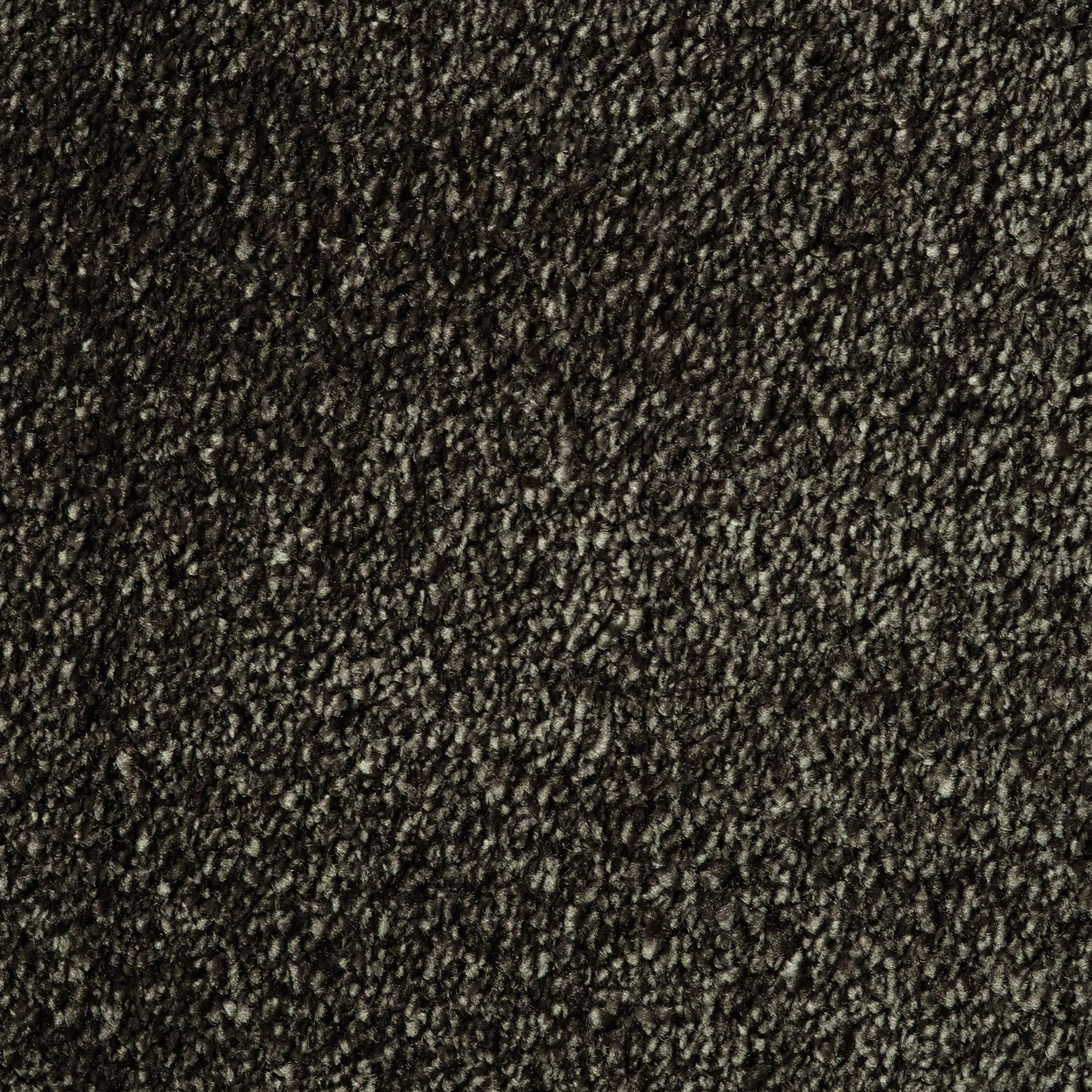 Evoke 2605