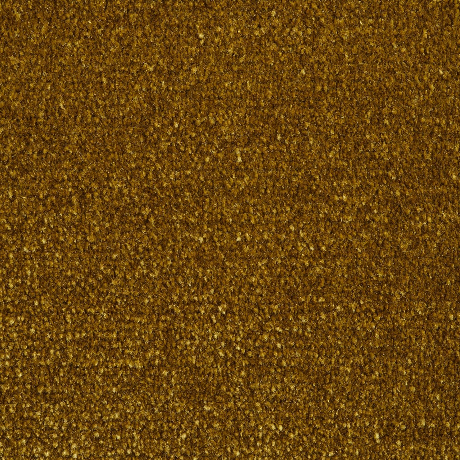 Evoke 2610