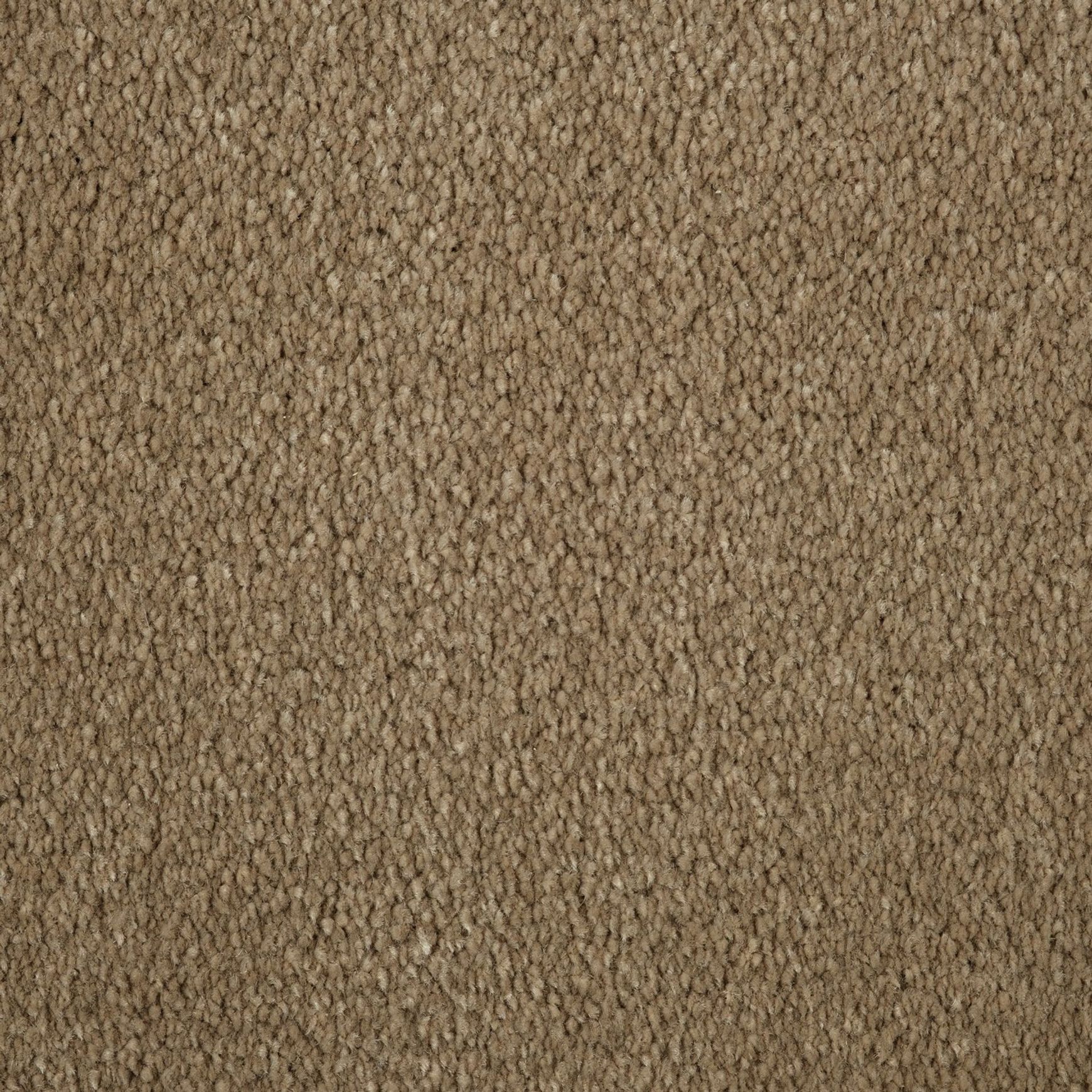 Evoke 2616