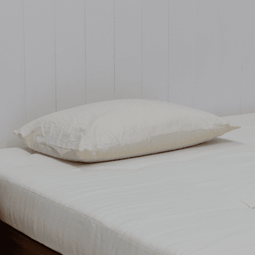 Standard Latex | Pillow