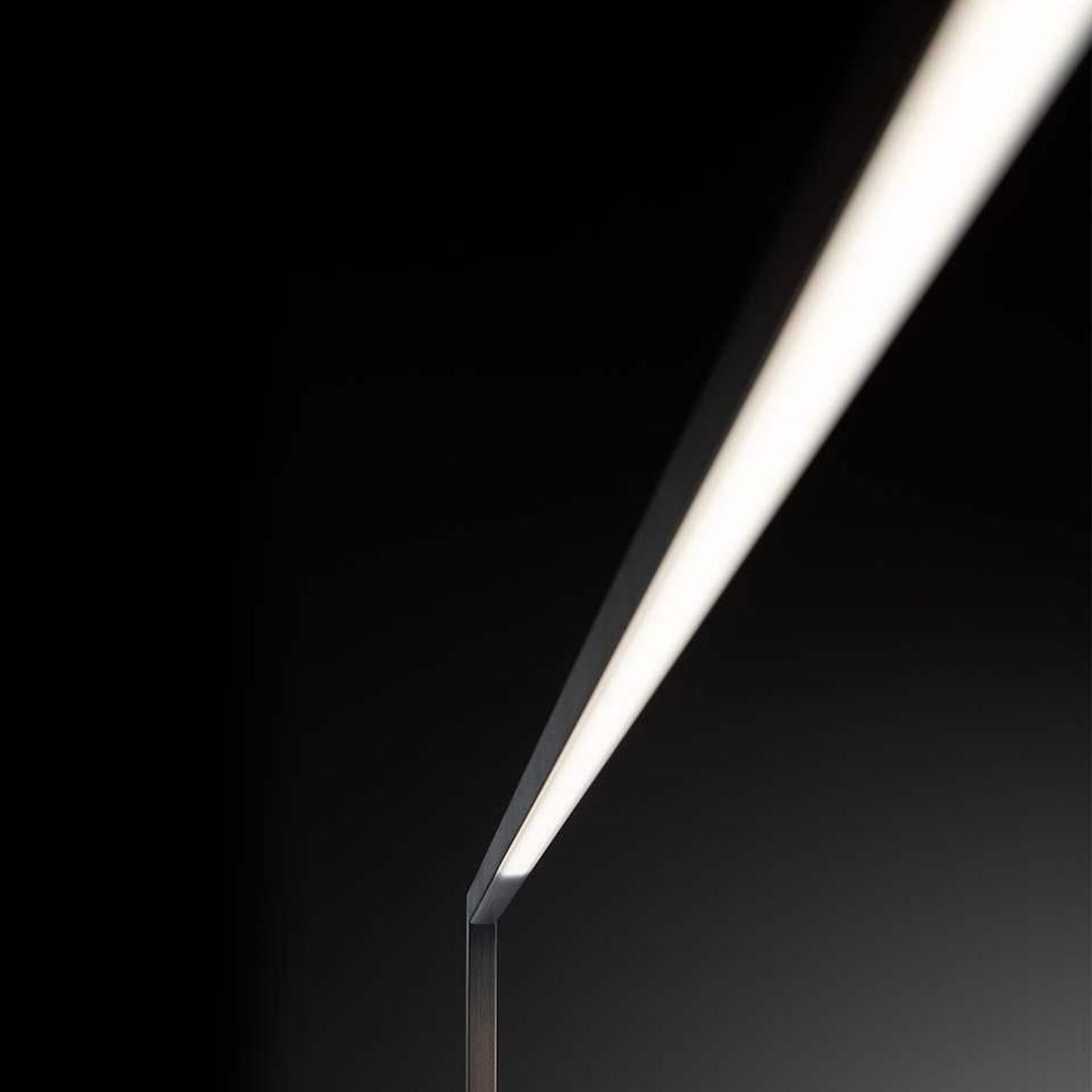 Essential Braccio Floor Lamp