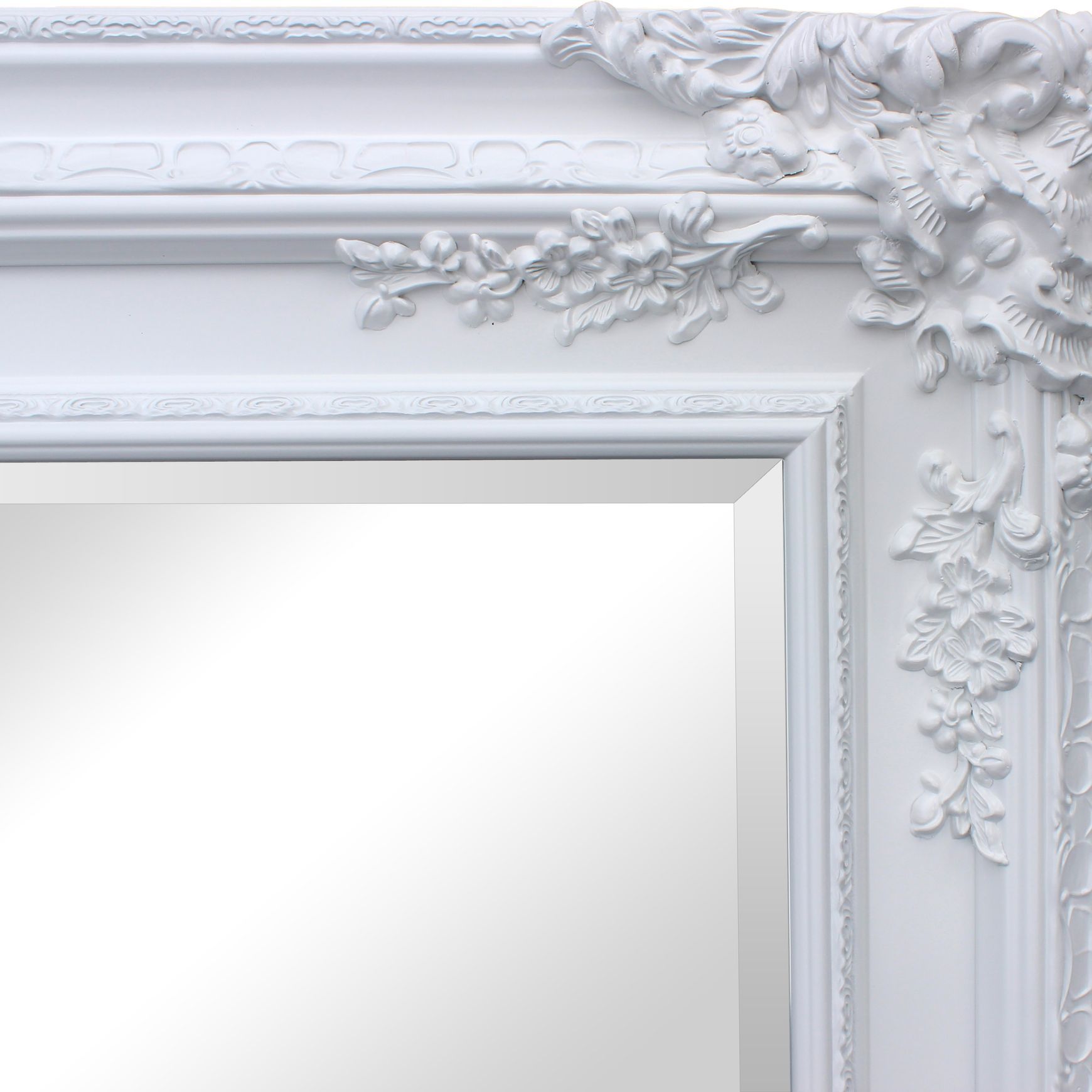 F29 Grenoble Mirror