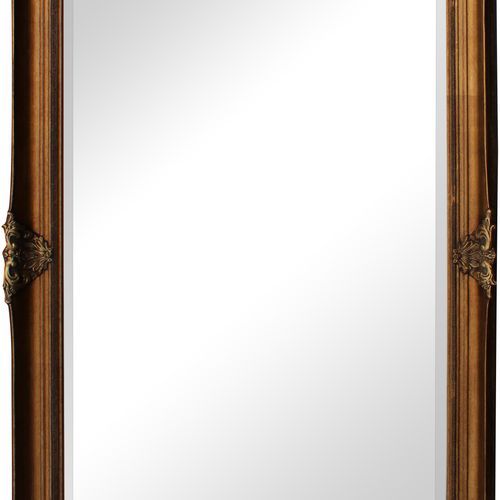 F23 Orléans Mirror