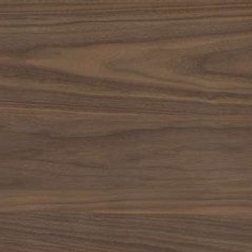 American Black Walnut