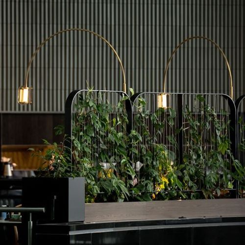 Green Screens Plant Wall | GreenAir