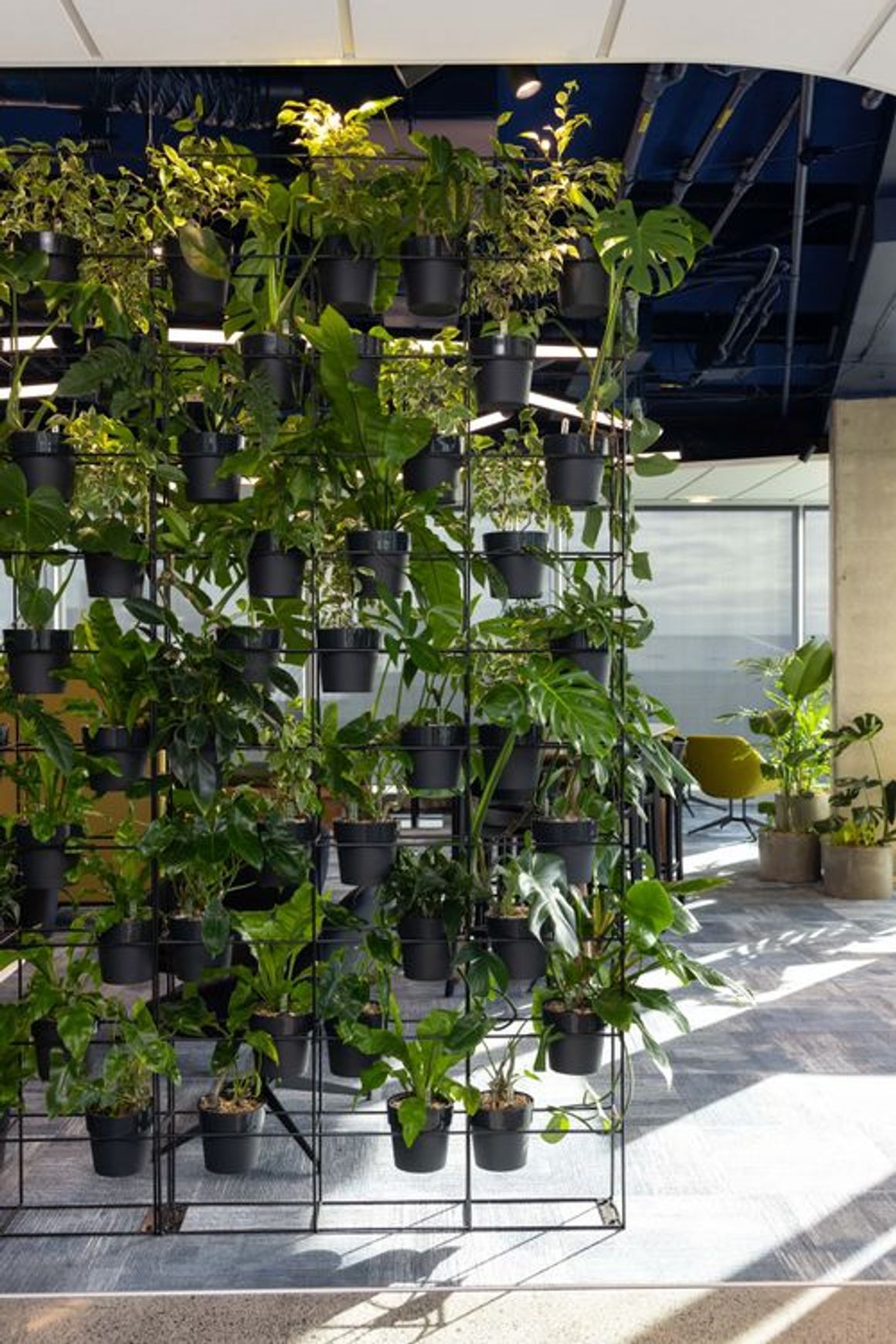 Stacked Plant Systems | GreenAir