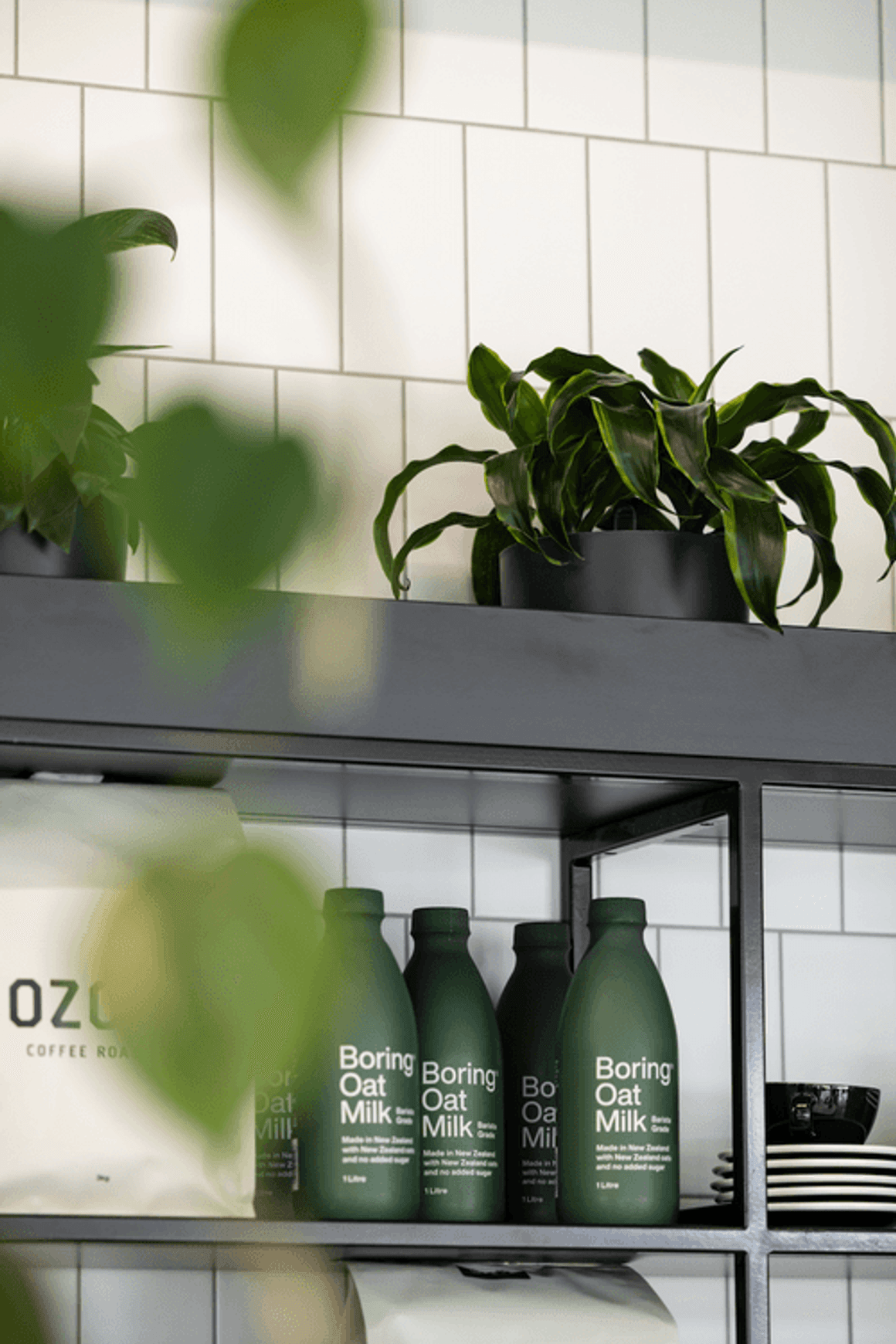 Mixed Foliage Displays | GreenAir