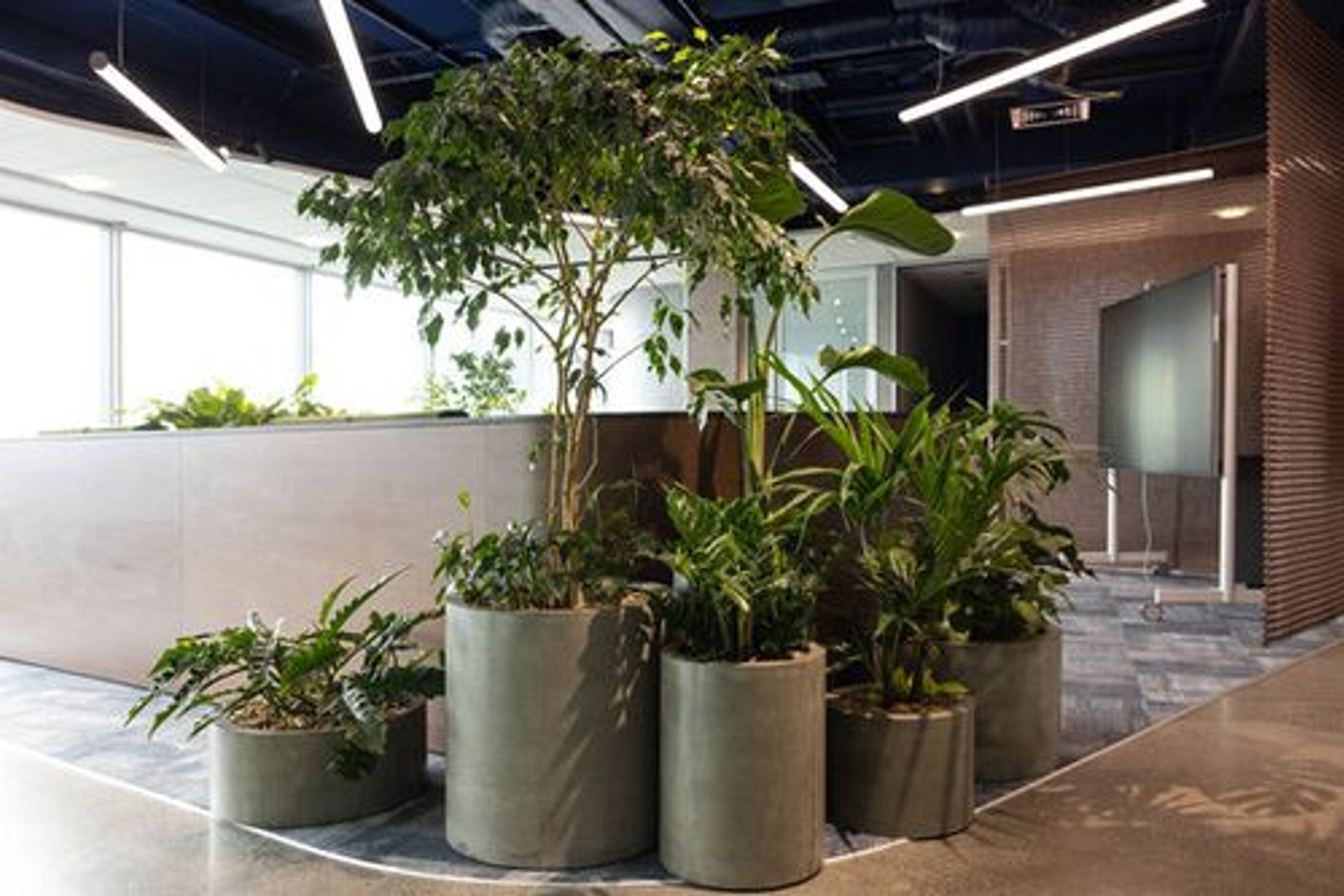 Floor Standing Planters | GreenAir