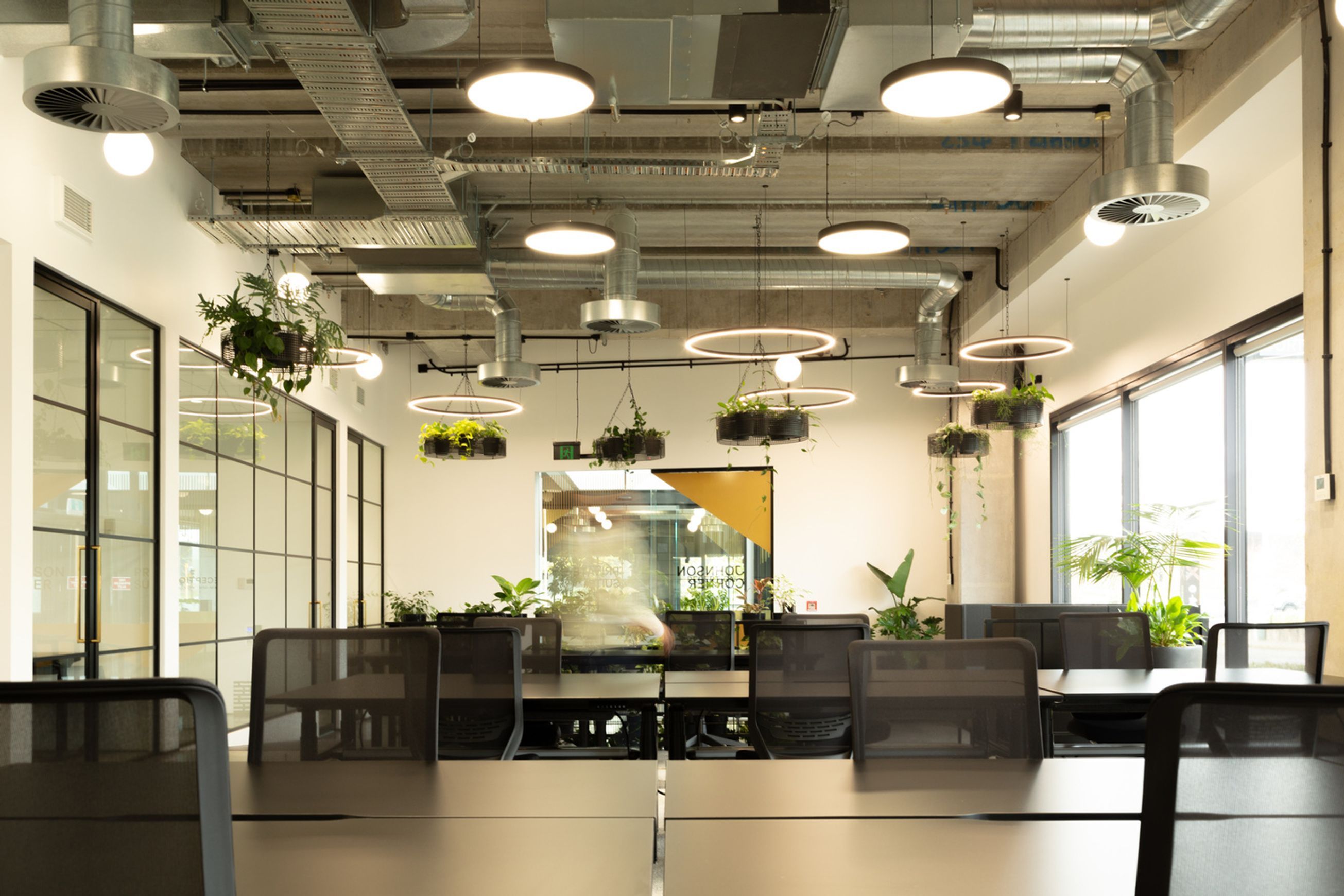 Suspended Plantscapes | GreenAir