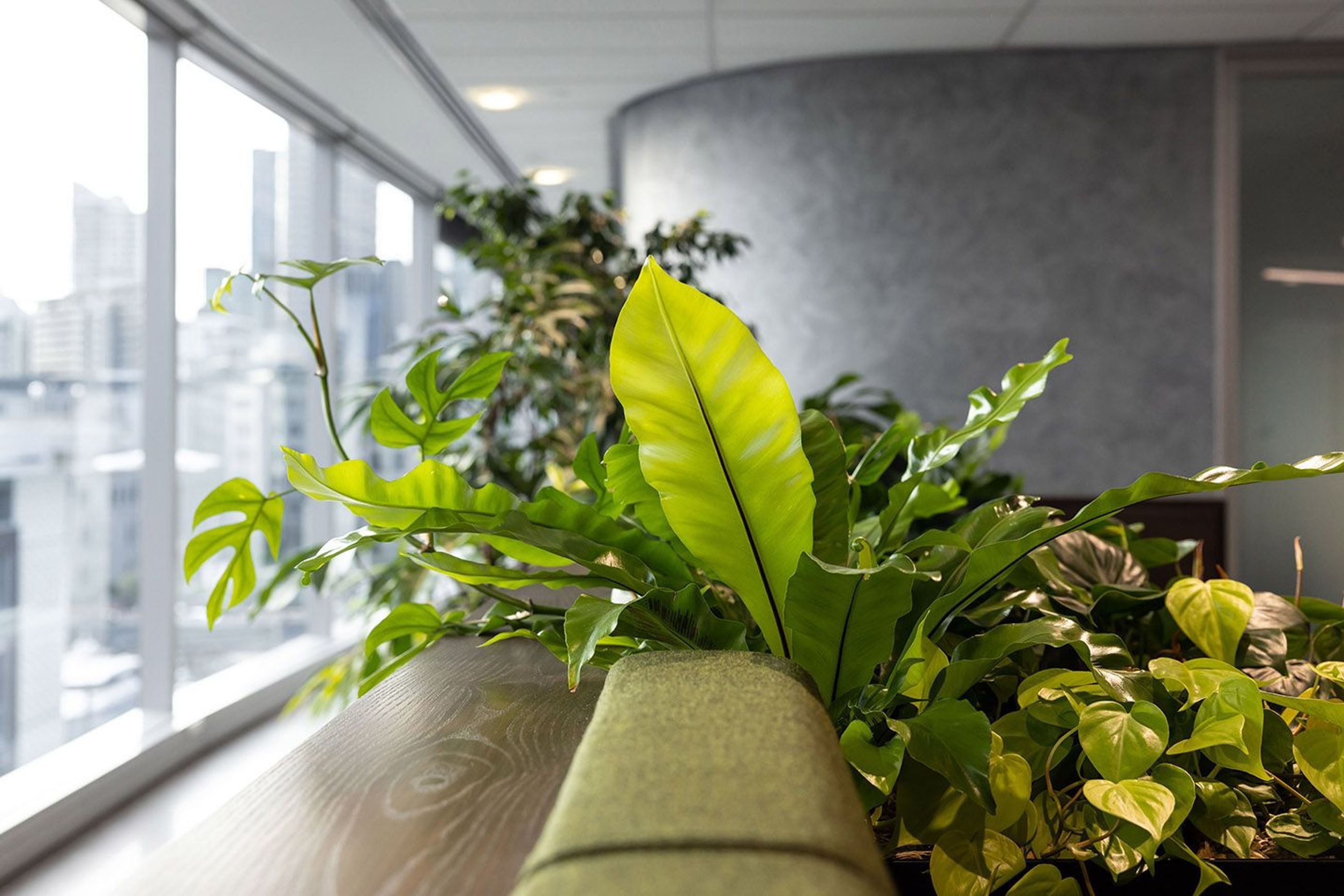 Customisable Indoor Garden Solutions | GreenAir
