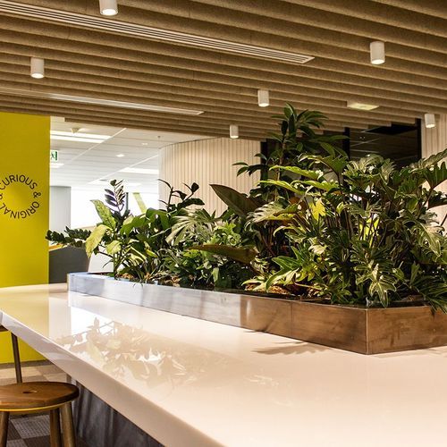 Customisable Indoor Garden Solutions | GreenAir